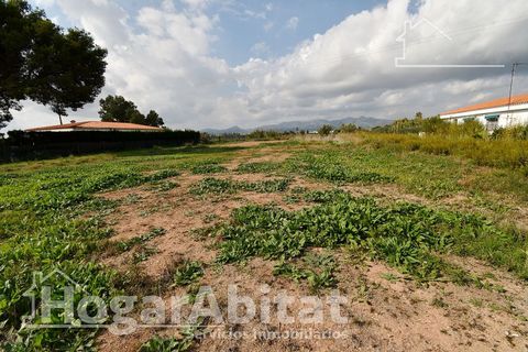 Terra a Grao De Moncofar, Castellon, Grao De Moncofar - € 140.000 | Ref: 115XSL-SER140.O-A/3716 - foto 12