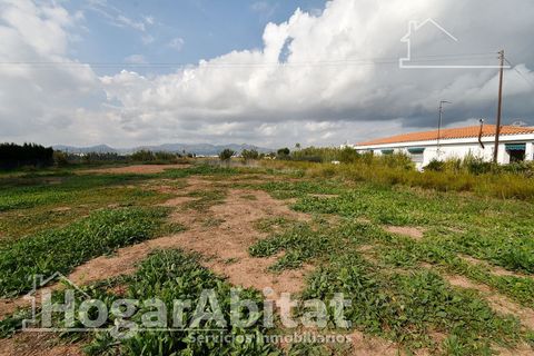 Terra a Grao De Moncofar, Castellon, Grao De Moncofar - € 140.000 | Ref: 115XSL-SER140.O-A/3716 - foto 13