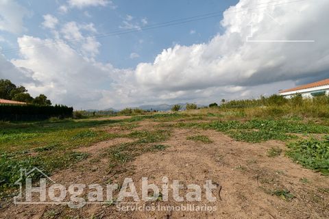 Terra a Grao De Moncofar, Castellon, Grao De Moncofar - € 140.000 | Ref: 115XSL-SER140.O-A/3716 - foto 26
