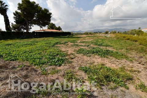 Terra a Grao De Moncofar, Castellon, Grao De Moncofar - € 140.000 | Ref: 115XSL-SER140.O-A/3716 - foto 27