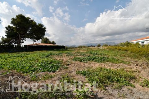 Terra a Grao De Moncofar, Castellon, Grao De Moncofar - € 140.000 | Ref: 115XSL-SER140.O-A/3716 - foto 29