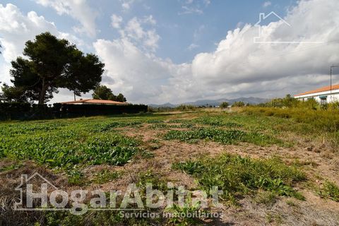 Terra a Grao De Moncofar, Castellon, Grao De Moncofar - € 140.000 | Ref: 115XSL-SER140.O-A/3716 - foto 30