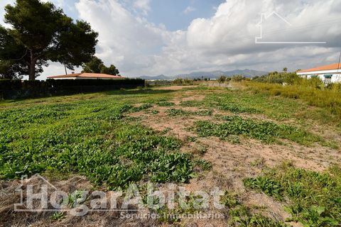 Terra a Grao De Moncofar, Castellon, Grao De Moncofar - € 140.000 | Ref: 115XSL-SER140.O-A/3716 - foto 31