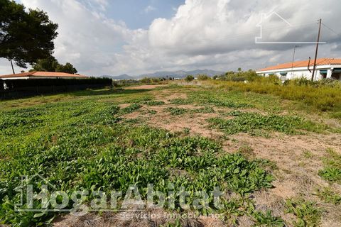 Terra a Grao De Moncofar, Castellon, Grao De Moncofar - € 140.000 | Ref: 115XSL-SER140.O-A/3716 - foto 32