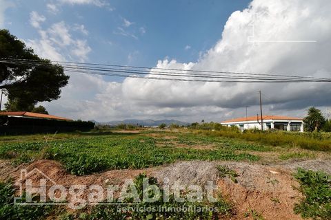 Terra a Grao De Moncofar, Castellon, Grao De Moncofar - € 140.000 | Ref: 115XSL-SER140.O-A/3716 - foto 33