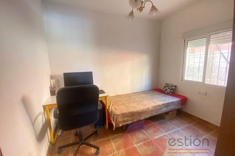 Finca i Velez Malaga, Malaga, Velez Malaga - € 340.000 | Ref: J958 - foto 21