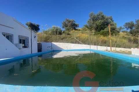 Finca i Velez Malaga, Malaga, Velez Malaga - € 340.000 | Ref: J958 - foto 24