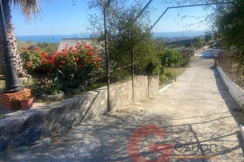 Finca i Velez Malaga, Malaga, Velez Malaga - € 340.000 | Ref: J958 - foto 28