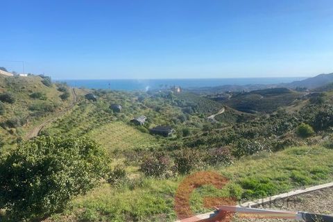 Finca i Velez Malaga, Malaga, Velez Malaga - € 340.000 | Ref: J958 - foto 32