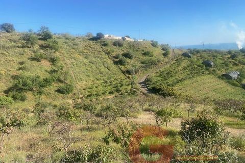 Finca i Velez Malaga, Malaga, Velez Malaga - € 340.000 | Ref: J958 - foto 33