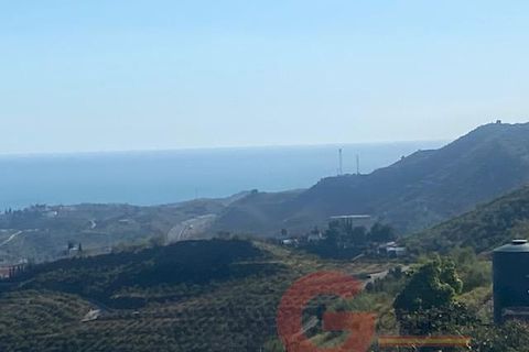 Finca i Velez Malaga, Malaga, Velez Malaga - € 340.000 | Ref: J958 - foto 35