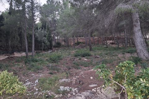 Terra a Vandellos, Tarragona, Vandellos - € 69.900 | Ref: EXP13968/8930 - foto 4