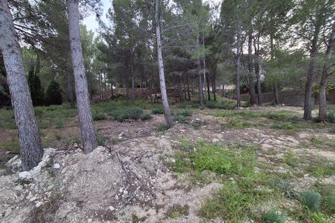 Terra a Vandellos, Tarragona, Vandellos - € 69.900 | Ref: EXP13968/8930 - foto 9