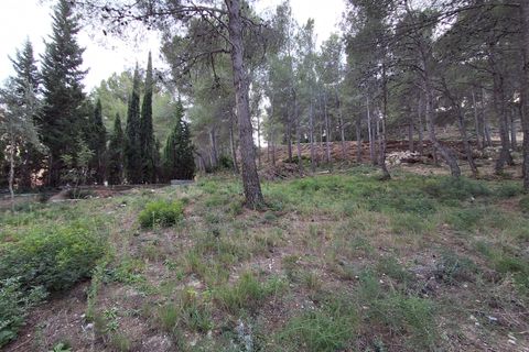 Terra a Vandellos, Tarragona, Vandellos - € 69.900 | Ref: EXP13968/8930 - foto 10