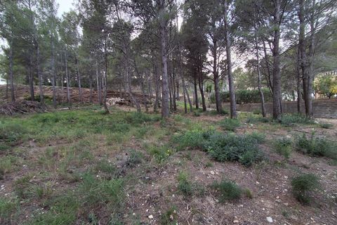 Terra a Vandellos, Tarragona, Vandellos - € 69.900 | Ref: EXP13968/8930 - foto 15