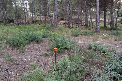 Terra a Vandellos, Tarragona, Vandellos - € 69.900 | Ref: EXP13968/8930 - foto 16