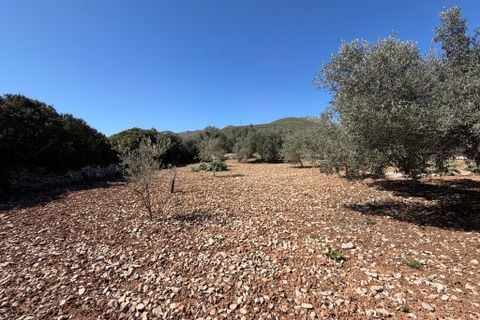 Terreno en Capdepera, Mallorca, Capdepera - € 50.000 | Ref: 5874W - photo 1