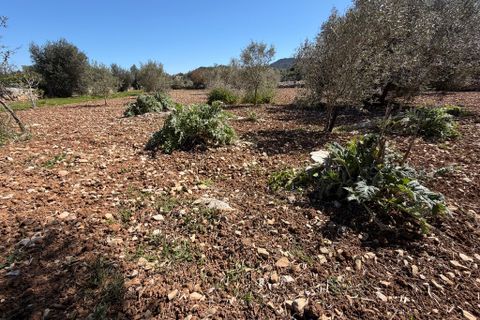 Terreno en Capdepera, Mallorca, Capdepera - € 50.000 | Ref: 5874W - photo 7