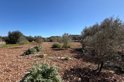 Terreno en Capdepera, Mallorca, Capdepera - € 50.000 | Ref: 5874W - photo 8