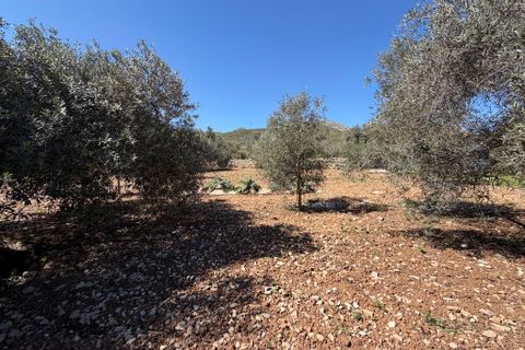 Terreno en Capdepera, Mallorca, Capdepera - € 50.000 | Ref: 5874W - photo 9