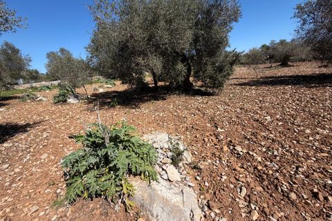 Terreno en Capdepera, Mallorca, Capdepera - € 50.000 | Ref: 5874W - photo 11