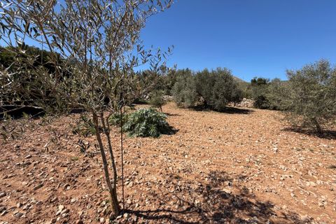 Terreno en Capdepera, Mallorca, Capdepera - € 50.000 | Ref: 5874W - photo 12