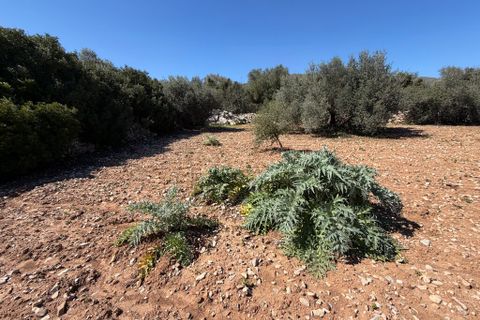 Terreno en Capdepera, Mallorca, Capdepera - € 50.000 | Ref: 5874W - photo 13