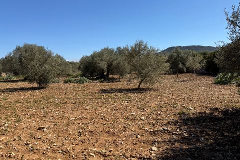 Terreno en Capdepera, Mallorca, Capdepera - € 50.000 | Ref: 5874W - photo 17