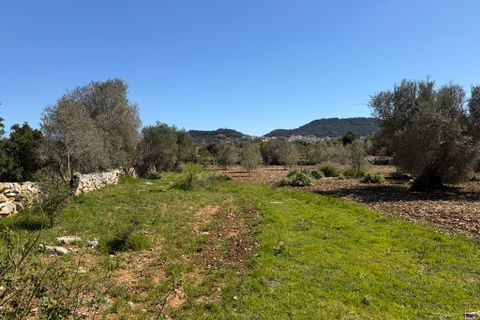 Terreno en Capdepera, Mallorca, Capdepera - € 50.000 | Ref: 5874W - photo 20