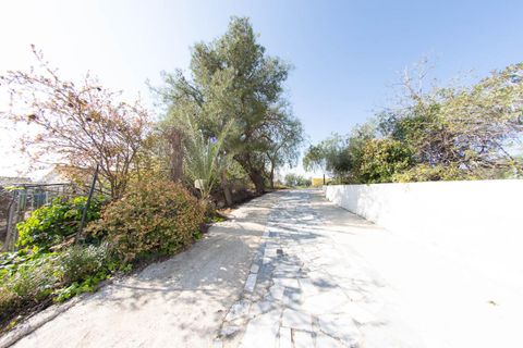Erhvervsejendom i Lorca, Murcia, Lorca - € 340.000 | Ref: 70278 - foto 5
