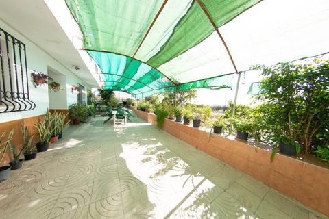 Erhvervsejendom i Lorca, Murcia, Lorca - € 340.000 | Ref: 70278 - foto 11