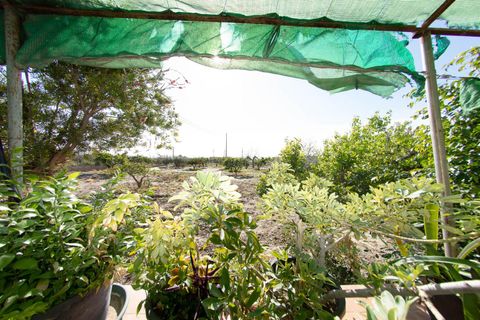 Erhvervsejendom i Lorca, Murcia, Lorca - € 340.000 | Ref: 70278 - foto 12