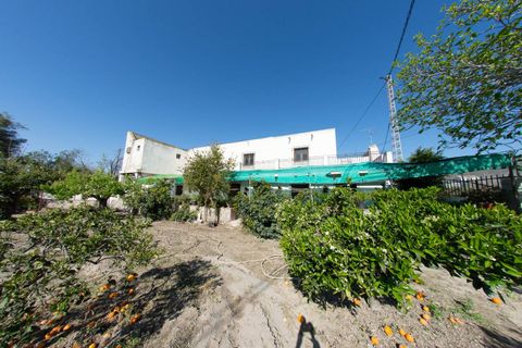 Erhvervsejendom i Lorca, Murcia, Lorca - € 340.000 | Ref: 70278 - foto 15