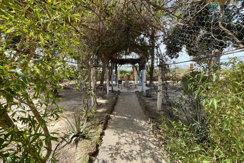 Landejendom i Mazarron, Murcia, Mazarron - € 650.000 | Ref: 001122/9522 - foto 49