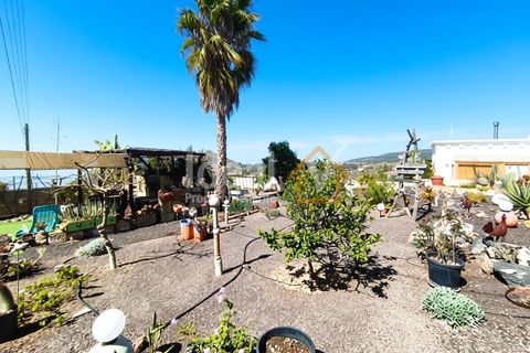 Villa en Vilaflor, Tenerife, Vilaflor - € 548.000 | Ref: 971-V3-N - photo 43