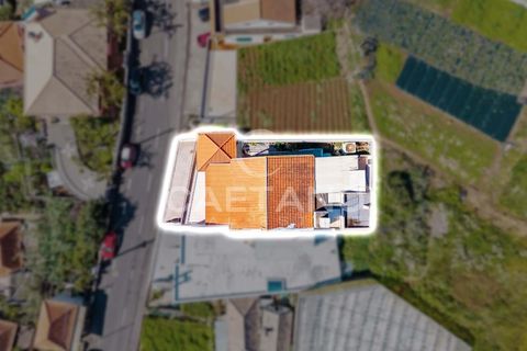 Villa i Ponta do Sol, Madeira, Ponta do Sol - € 595.000 | Ref: 1594 - foto 5