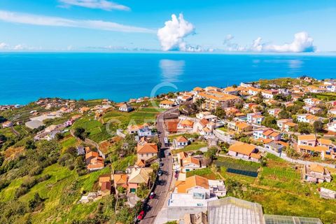 Villa i Ponta do Sol, Madeira, Ponta do Sol - € 595.000 | Ref: 1594 - foto 4