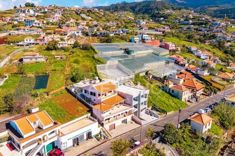 Villa i Ponta do Sol, Madeira, Ponta do Sol - € 595.000 | Ref: 1594 - foto 2