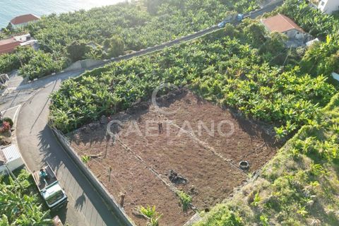 Terra a Arco da Calheta, Madeira, Arco da Calheta - € 1.850.000 | Ref: 3294 - foto 2
