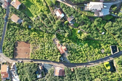 Terra a Arco da Calheta, Madeira, Arco da Calheta - € 1.850.000 | Ref: 3294 - foto 3