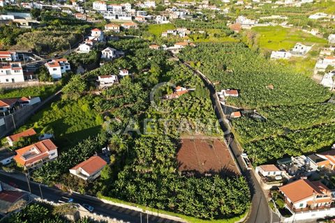 Terra a Arco da Calheta, Madeira, Arco da Calheta - € 1.850.000 | Ref: 3294 - foto 4