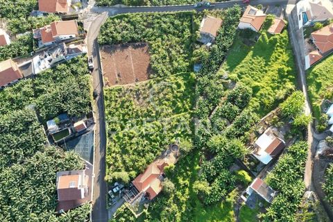 Terra a Arco da Calheta, Madeira, Arco da Calheta - € 1.850.000 | Ref: 3294 - foto 5