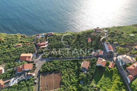 Terra a Arco da Calheta, Madeira, Arco da Calheta - € 1.850.000 | Ref: 3294 - foto 6