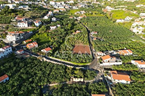Terra a Arco da Calheta, Madeira, Arco da Calheta - € 1.850.000 | Ref: 3294 - foto 7