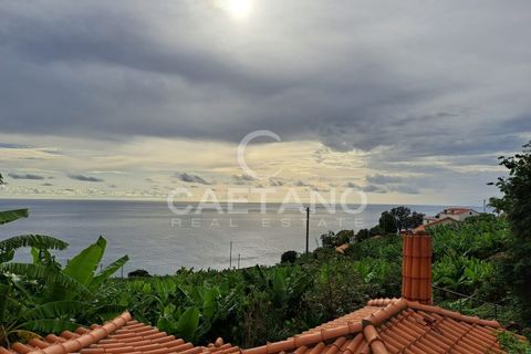 Terra a Arco da Calheta, Madeira, Arco da Calheta - € 1.850.000 | Ref: 3294 - foto 8