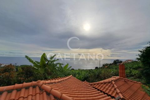 Terra a Arco da Calheta, Madeira, Arco da Calheta - € 1.850.000 | Ref: 3294 - foto 11