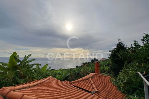 Terra a Arco da Calheta, Madeira, Arco da Calheta - € 1.850.000 | Ref: 3294 - foto 12