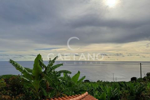 Terra a Arco da Calheta, Madeira, Arco da Calheta - € 1.850.000 | Ref: 3294 - foto 13