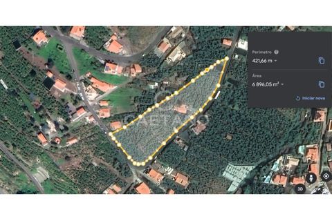 Terra a Arco da Calheta, Madeira, Arco da Calheta - € 1.850.000 | Ref: 3294 - foto 14