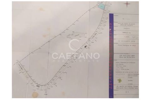 Terra a Arco da Calheta, Madeira, Arco da Calheta - € 1.850.000 | Ref: 3294 - foto 15